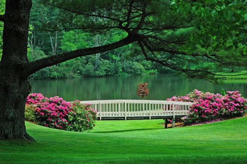 Chetola Resort At Blowing Rock Exterior foto